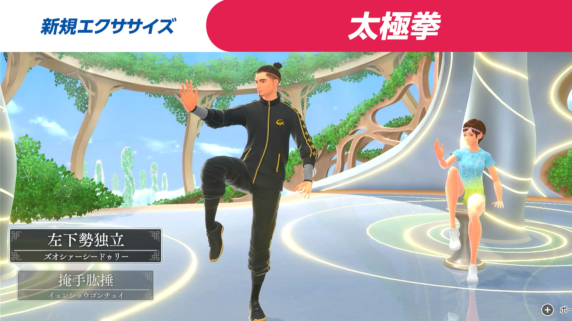 新規エクササイズ 太極拳