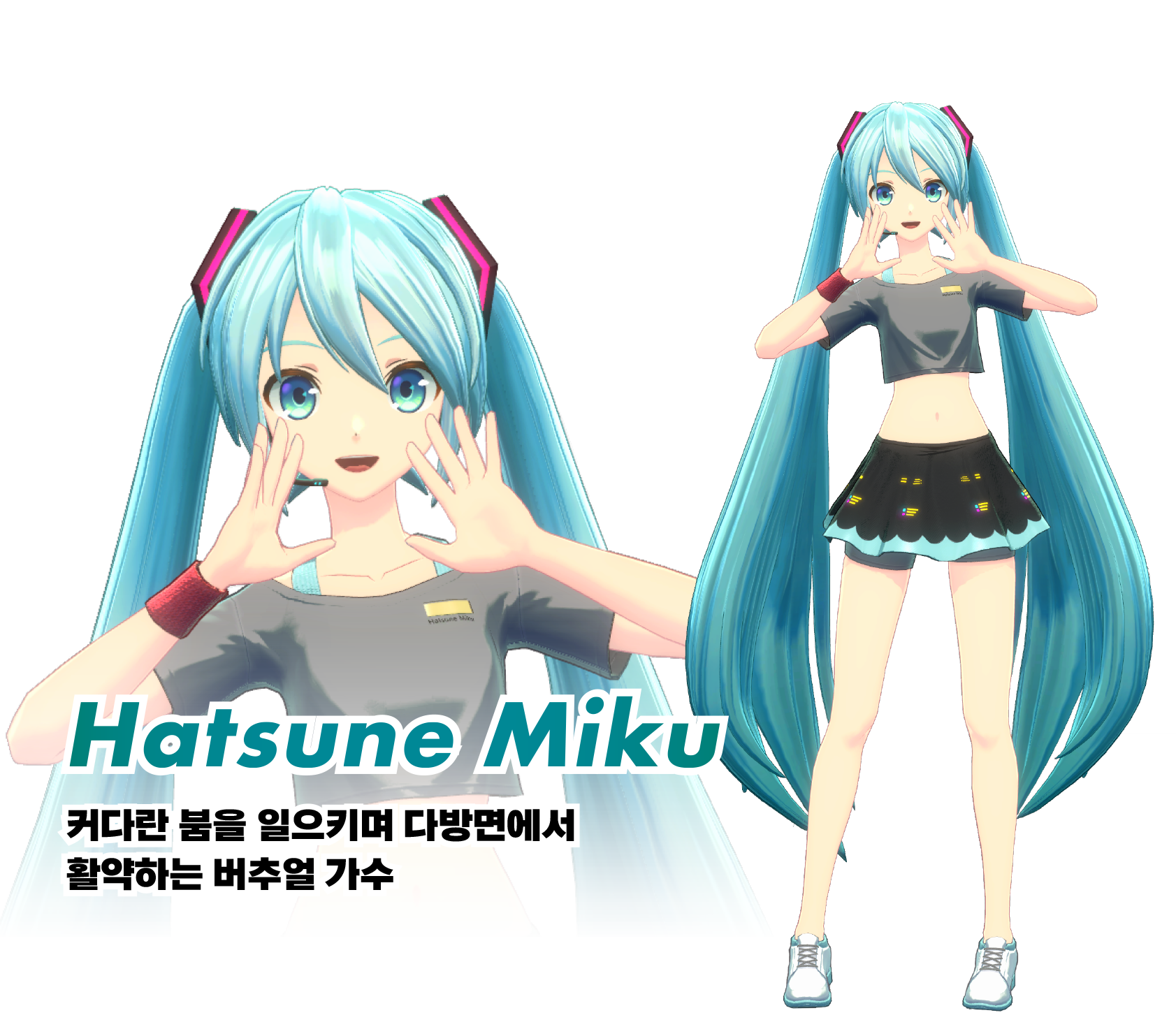 Hatsune Miku:커다란 붐을 일으키며 다방면에서 활약하는 버추얼 가수