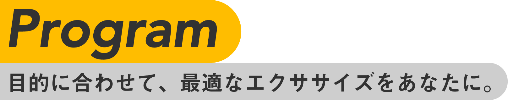 Program 目的に合わせて、最適なエクササイズをあなたに。